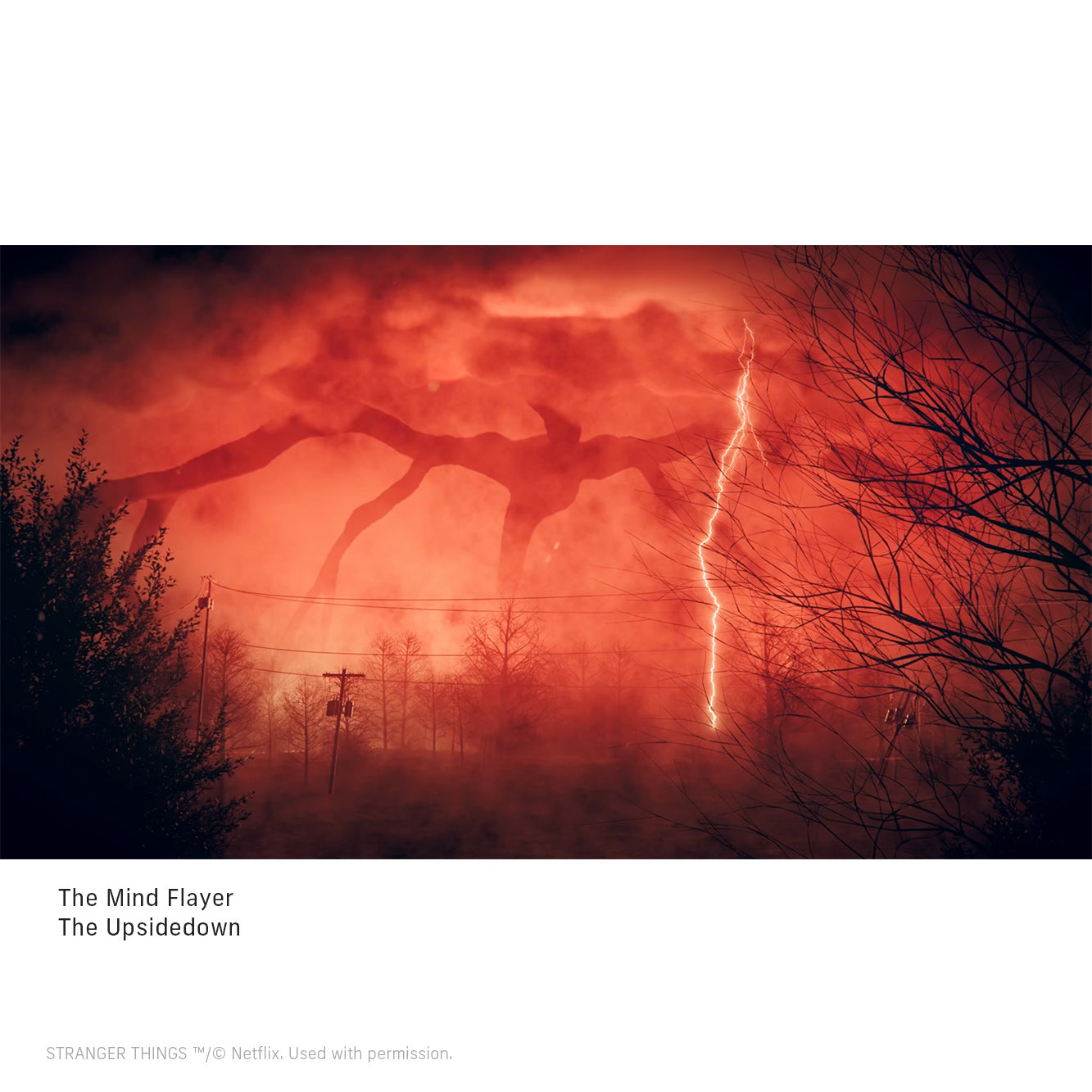 Edition Pass | Stranger Things - Atmoph : オンラインストア
