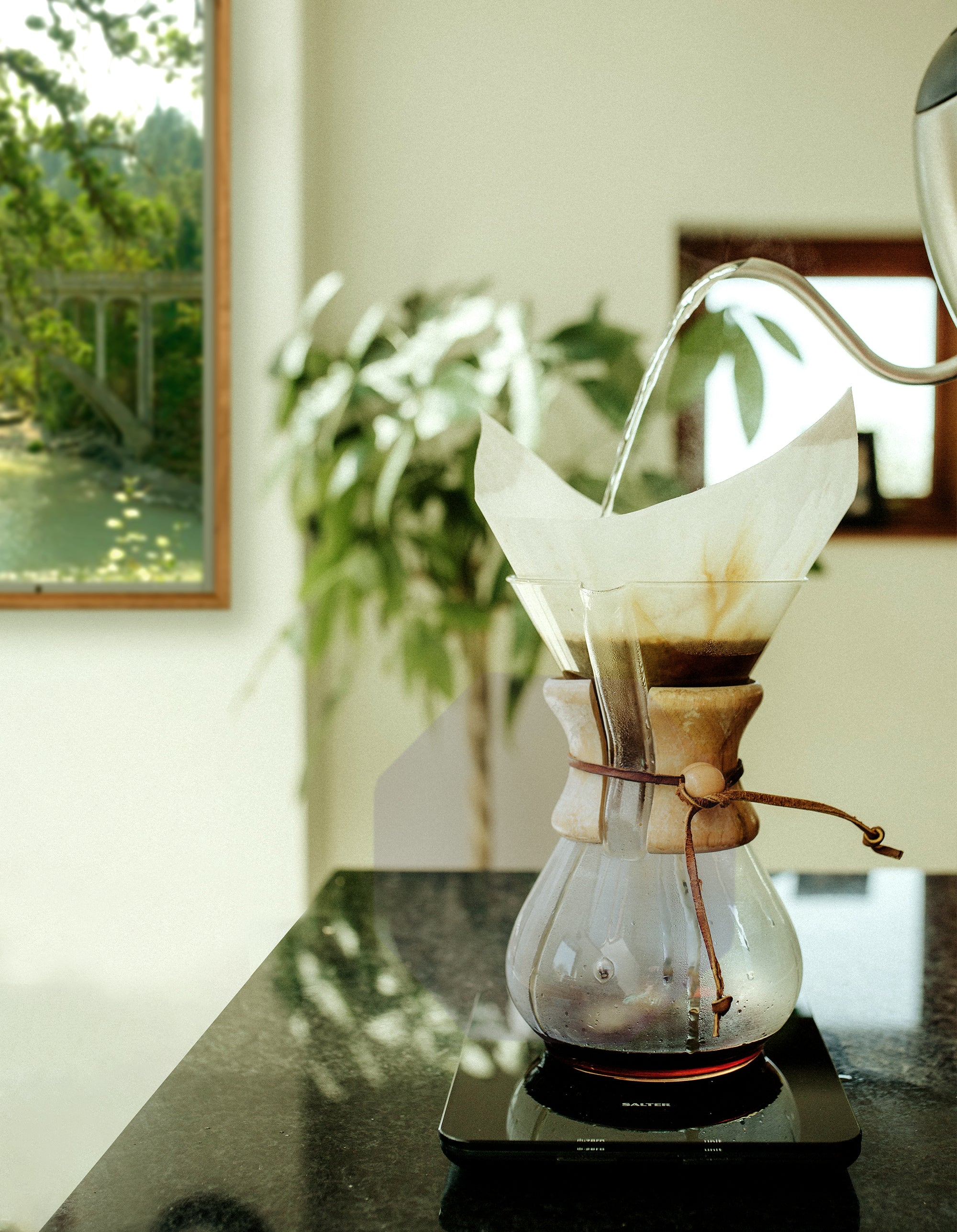 MUNE Coffee from Shin Kyoto - Atmoph : オンラインストア
