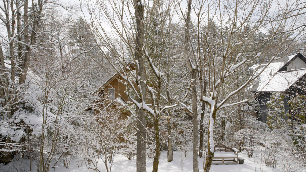 New Views！寒い、けれど美しい「冬の軽井沢」の風景を追加