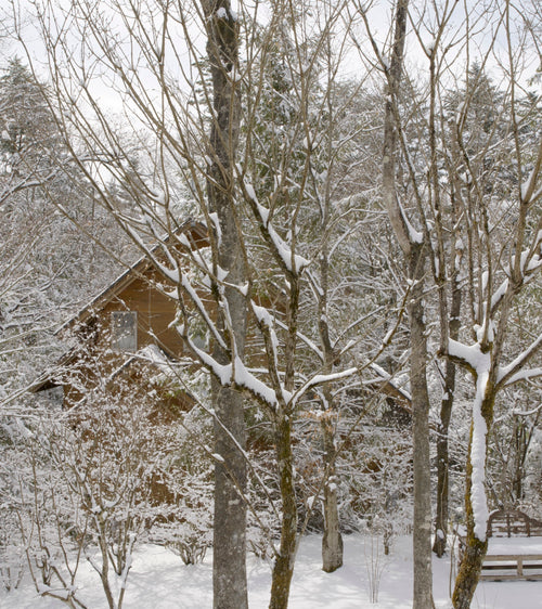 北軽井沢雪景色 住みやすい場所がわかる冬 – 北軽井沢雪景色 住みやすい場所がわかる冬 に関連する検索【2026最新】軽井沢で冬におすすめの ...