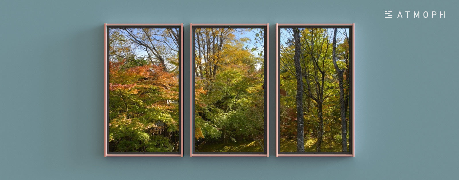 秋を先取り！新しく「紅葉の軽井沢」を旅先に追加