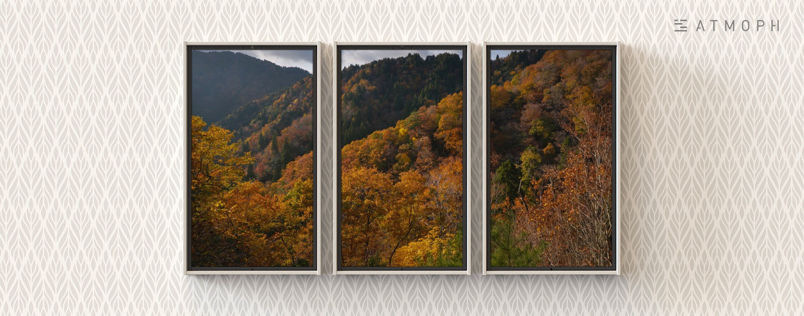 旅人を魅了する小入峠の紅葉、Atmoph Windowに登場