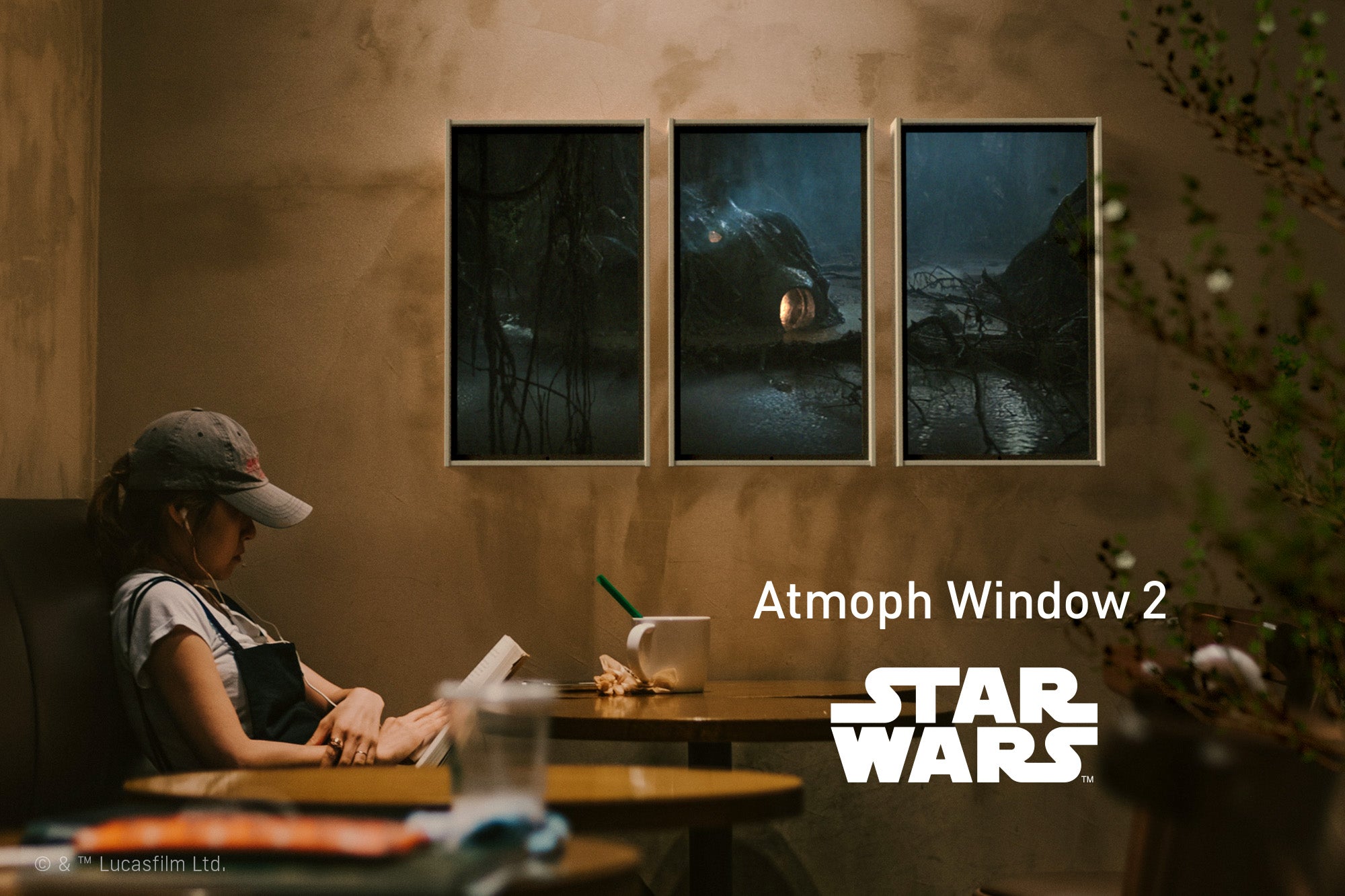 Atmoph Window 2 | Star Wars、待望の第三弾「ダゴバ」の風景を追加 ...