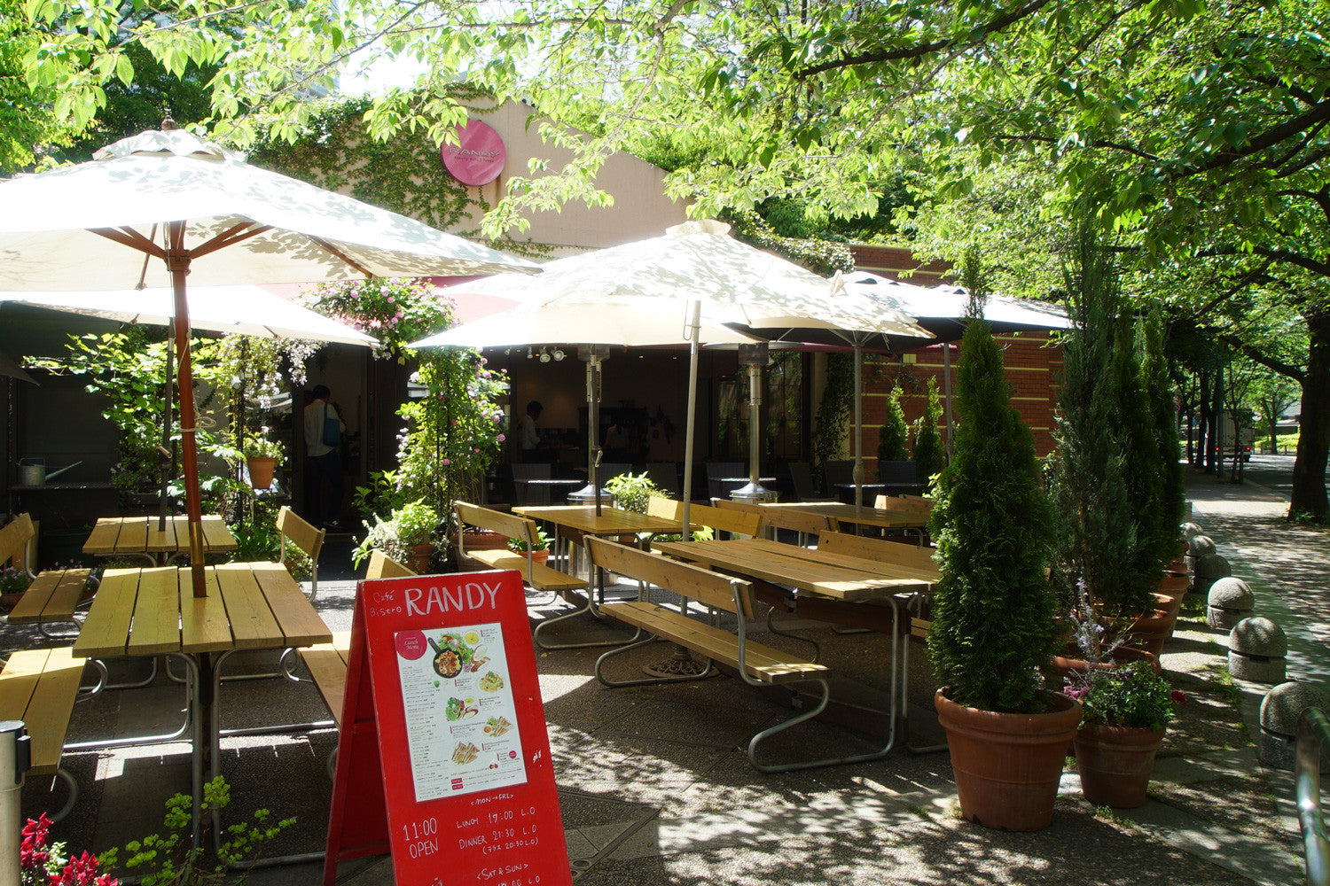 CAFE RANDYにて展示中