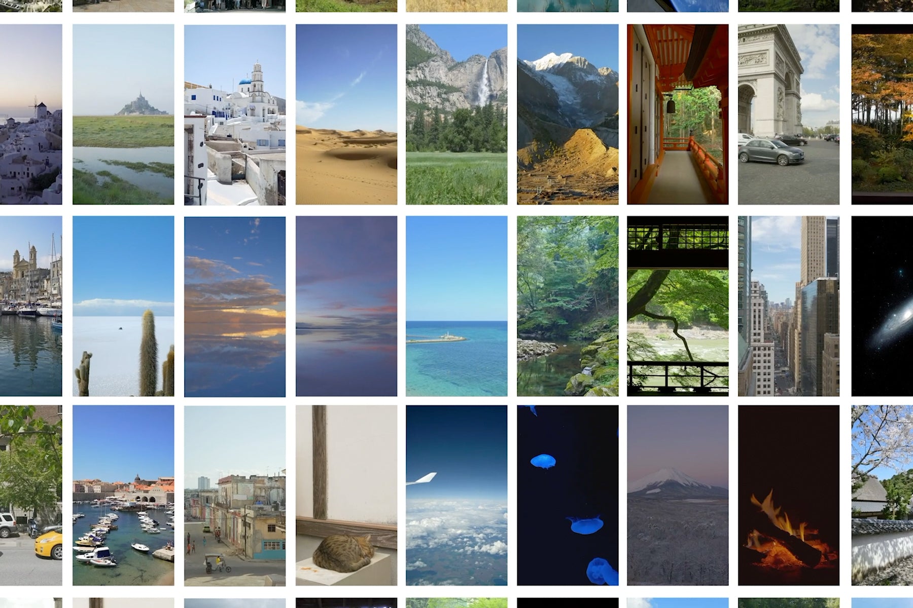 langify_image_container