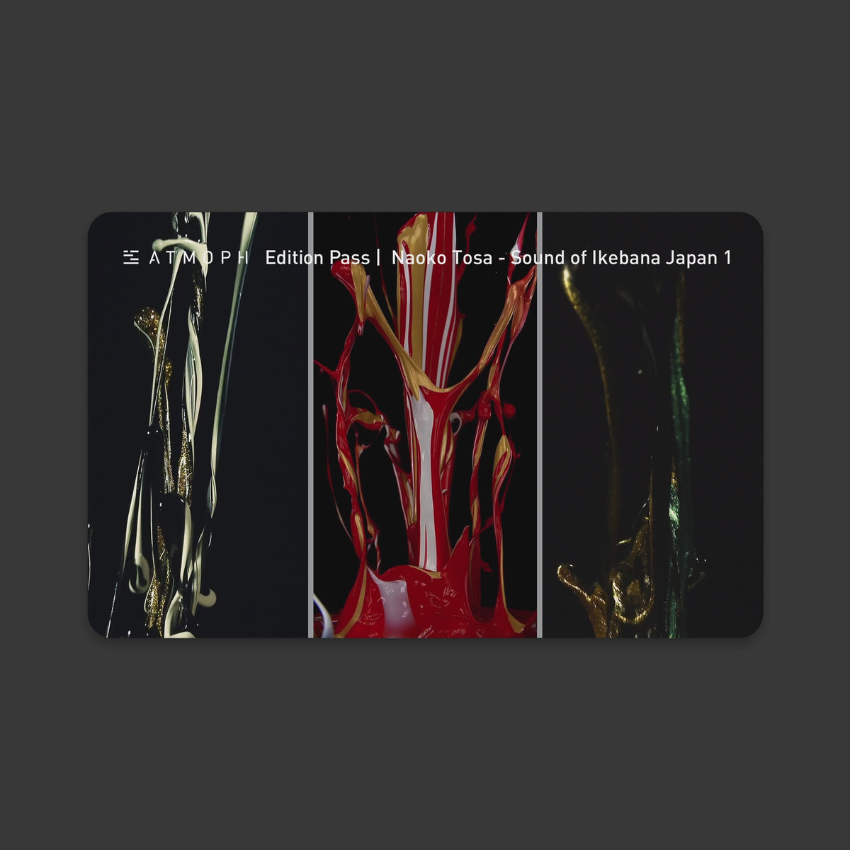 Edition Pass | Naoko Tosa - Sound of Ikebana Japan 1